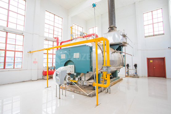 6噸WNS系列冷凝式燃?xì)庹羝仩t項目