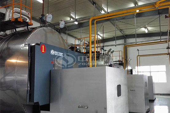 吉利汽車臨海產(chǎn)業(yè)園6噸WNS系列天然氣蒸汽鍋爐項目