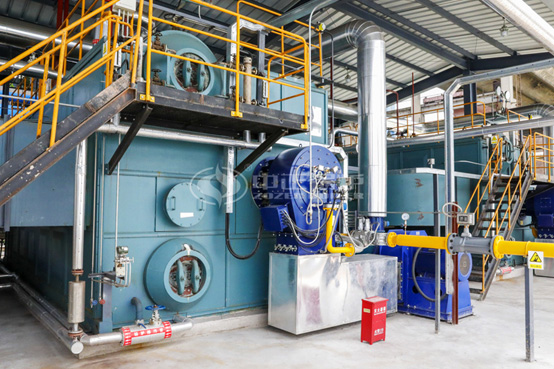 海大集團25噸和20噸SZS系列環(huán)保型燃氣蒸汽鍋爐項目