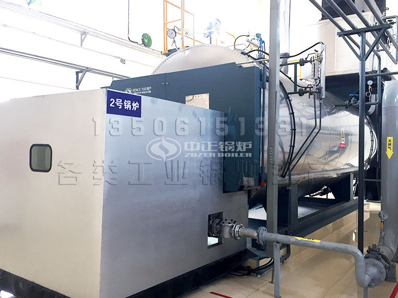 25t/h的燃?xì)忮仩t及配套設(shè)備